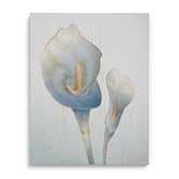 Tulip Beauty Wall Art Decor